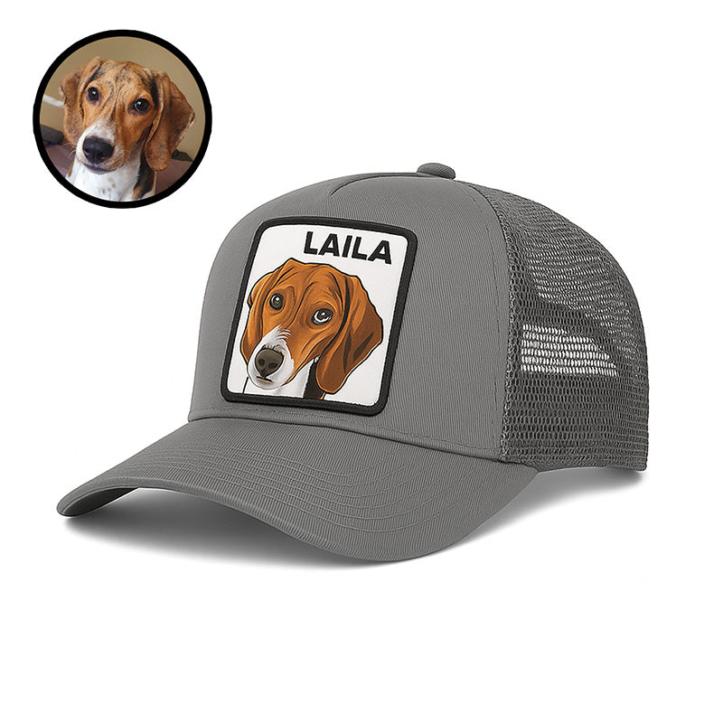 Gorra de Mascota